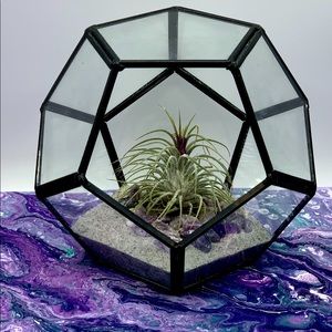 Brass Geometric Terrarium w/ Air Plant & Amethyst